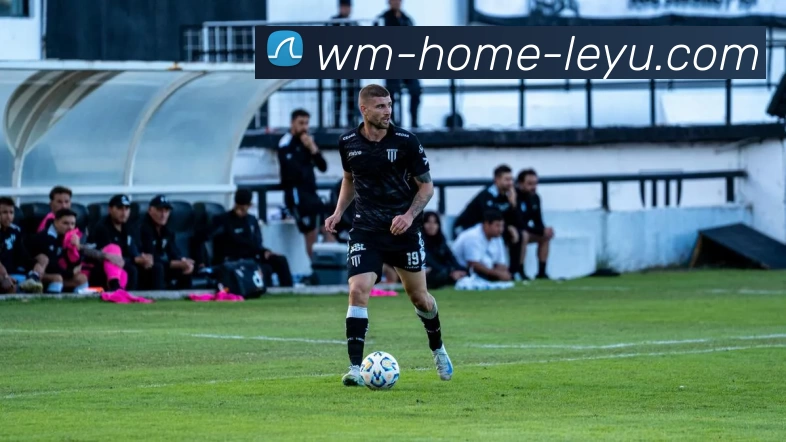 leyu乐鱼体育app下载平台生态图