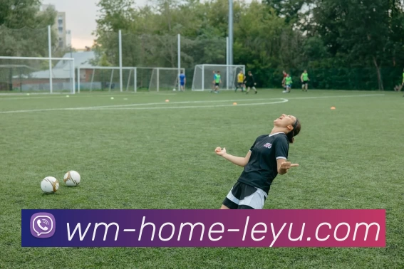 leyu乐鱼体育app下载APP 封面图